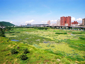 另一個中央森林公園（濕地公園）即將在中都開闢