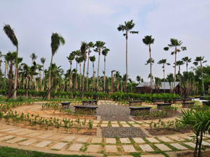 高雄市熱帶植物園即將對外開放(養工處)